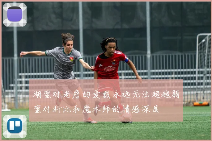 湖蜜对老詹的爱戴永远无法超越骑蜜对科比和魔术师的情感深度